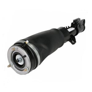 Air Spring Vogue 10-12 Front Left