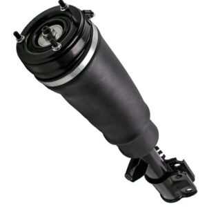 Air Spring Vogue Front Left