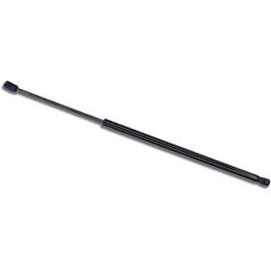 Gas Spring Cayenne 03-10 Frt