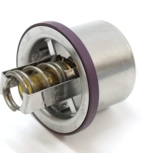 Thermostat Cayenne 05