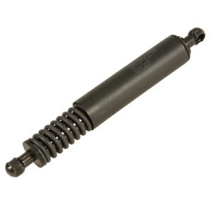 Gas Spring Cayenne Rear