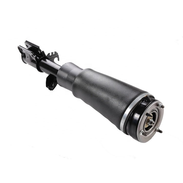 Air Spring Vogue Front Right